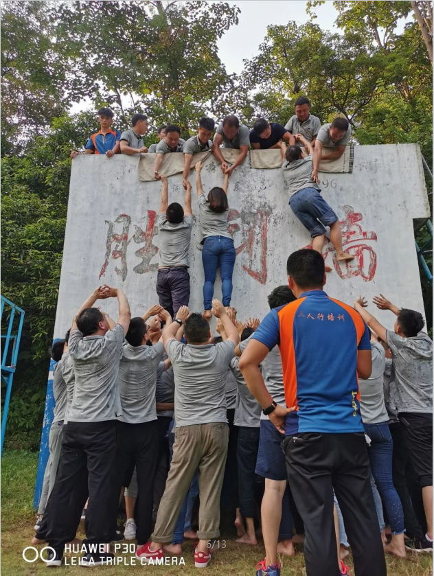 东南能(néng)科(kē)20周年庆丨风雨砥砺二十载，同心共筑东南梦